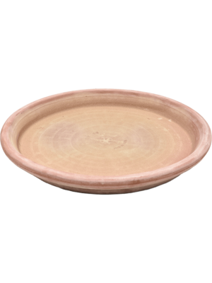 Saucer Antiques