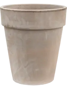 Terra Cotta