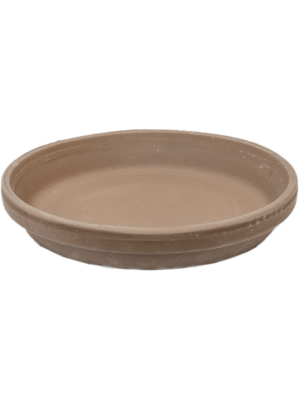 Saucer Grey