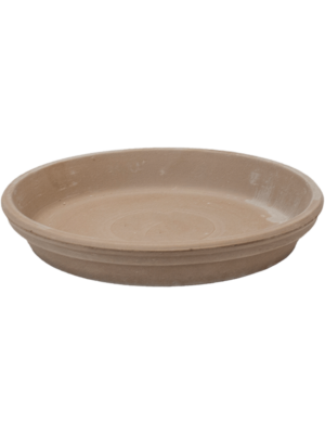 Saucer Grey