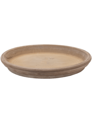 Saucer Grey
