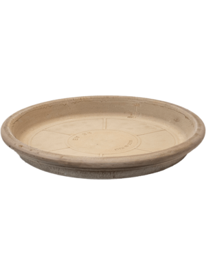 Saucer Grey