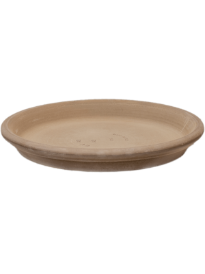 Saucer Grey