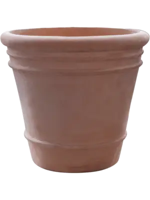 Pot Terra
