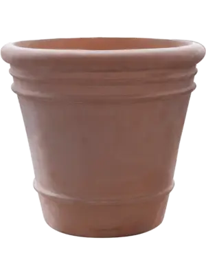 Pot Terra