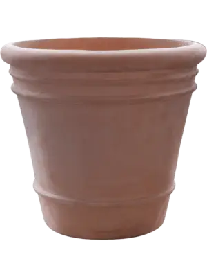 Pot Terra