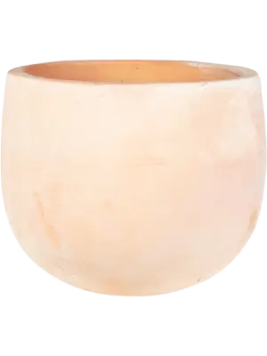 Pot Terra