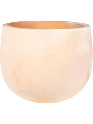Pot Terra