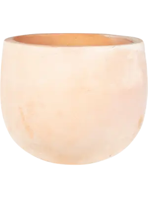Pot Terra
