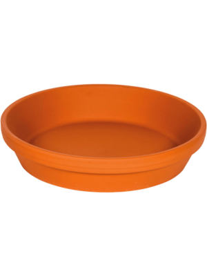 Saucer