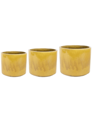 Pot Honey (set of 3)