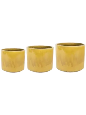 Pot Honey (set of 3)