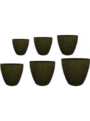 Pot Moss (set of 6)