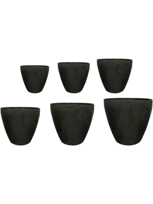 Pot Pine (set of 6)