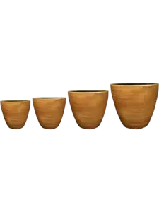 Gul kruka