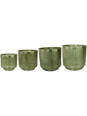 Pot Mint (set of 4)