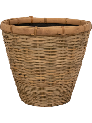 Pot Bamboo
