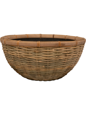 Bowl Bamboo