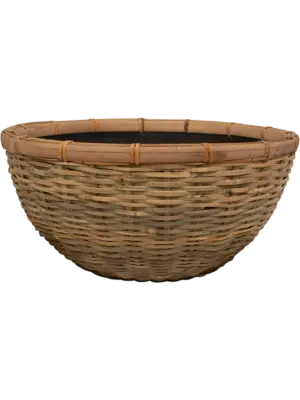 Bowl Bamboo