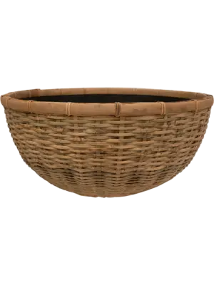 Bowl Bamboo