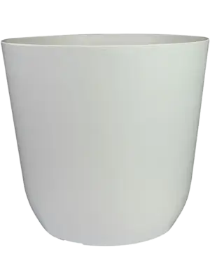 Pot White