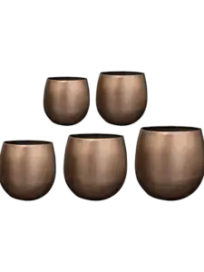 Stijn