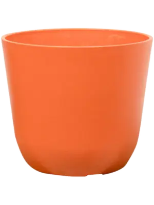 Pot Coral