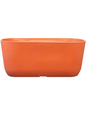 Planter Coral