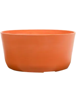 Bowl Coral