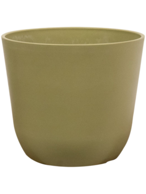 Pot Sage