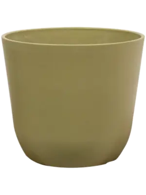 Pot Sage