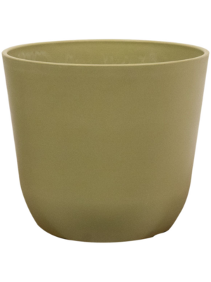 Pot Sage