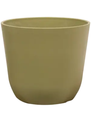 Pot Sage