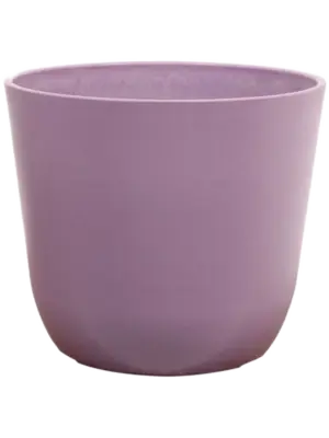 Pot Lavender
