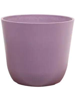 Pot Lavender