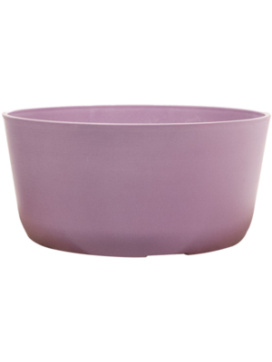 Bowl Lavender