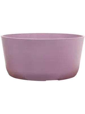 Bowl Lavender