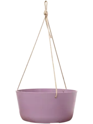 Hanger Lavender