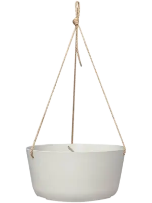 Hanger White
