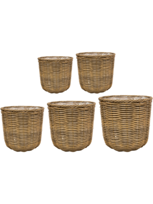Pot Natural (set of 5)