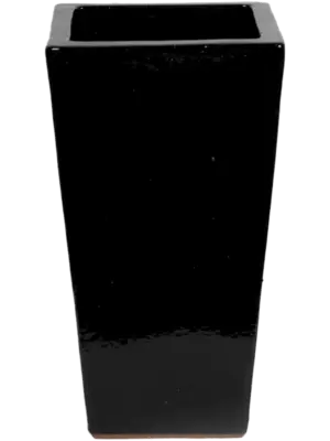 Kubis Black Shiny