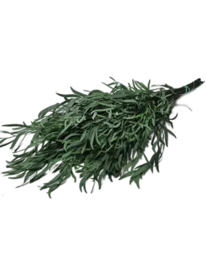 Baby Nikoly Green (125 gr)