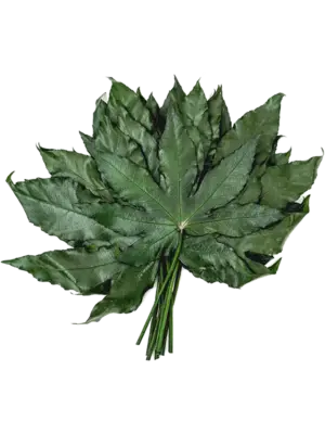 Bush (10 pcs)