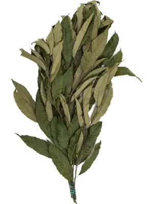 Bush Bunch (6 pcs)