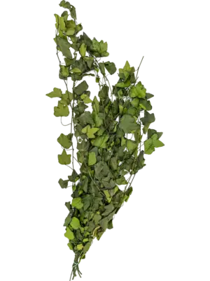 Bush Bunch (6 pcs)