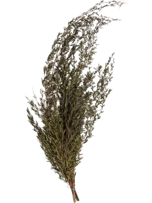 Bush Bunch (6 pcs)