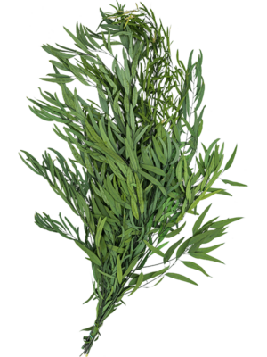 Bush Bunch (40-80 cm