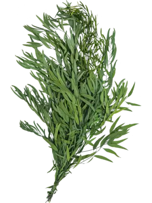 Bush Bunch (40-80 cm