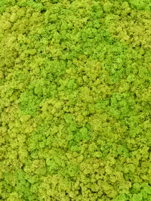 Spring Green (bulk ca. 0