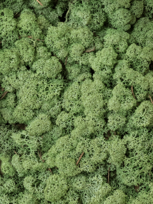 Medium Green (bulk ca. 0